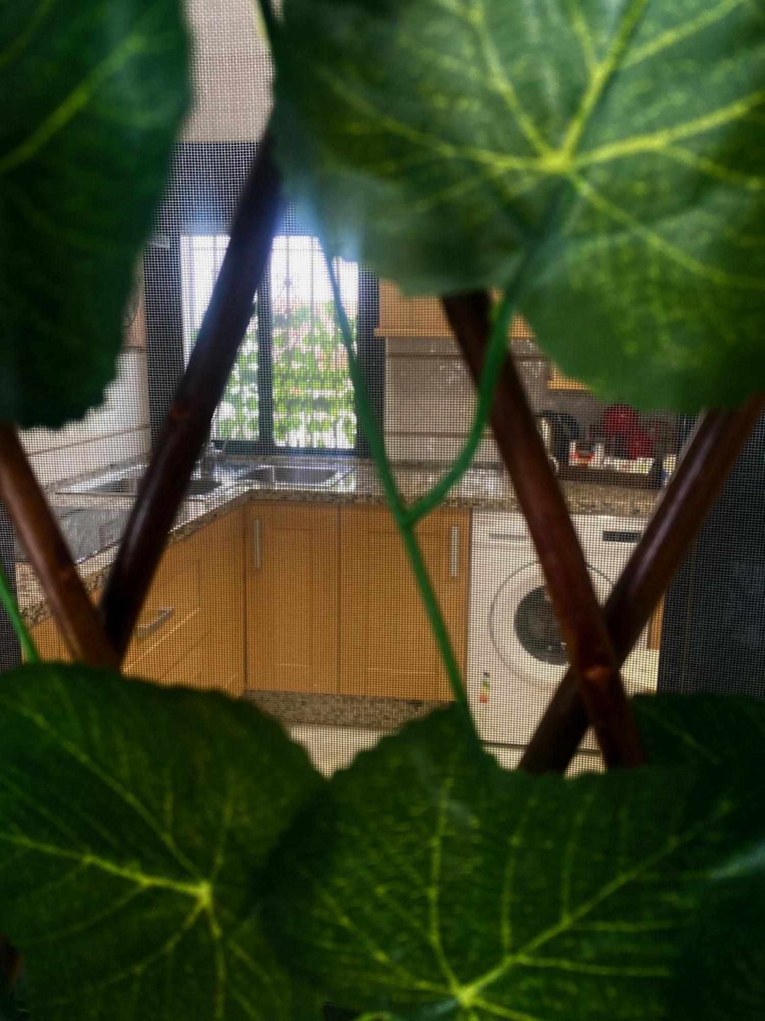 Home Regina Кордова Экстерьер фото